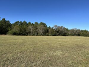 Property photo for land for sale in Cherokee County Texas
