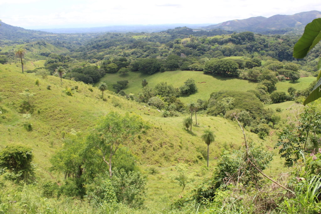 Property photo for land for sale in  County Costa Rica