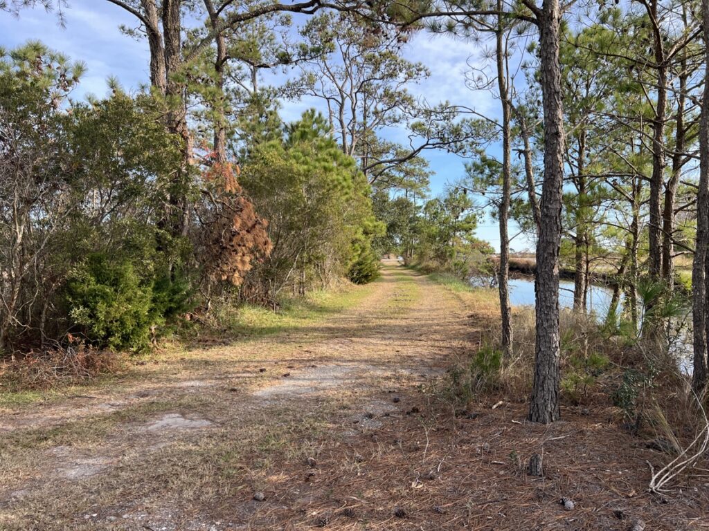 Property photo for land for sale in Hyde County North Carolina