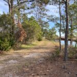 Property photo for land for sale in Hyde County North Carolina