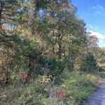 Property photo for land for sale in Stone County Arkansas