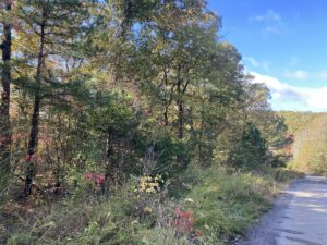 Property photo for land for sale in Stone County Arkansas