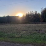 Property photo for land for sale in Morris County Texas