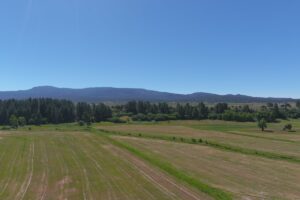 Property photo for land for sale in Rio Arriba County New Mexico