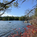 Property photo for land for sale in Washington County Maine