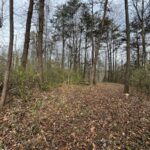 Property photo for land for sale in Patrick County Virginia