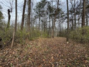 Property photo for land for sale in Patrick County Virginia