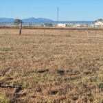 Property photo for land for sale in Torrance County New Mexico