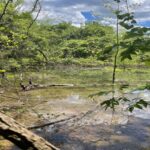 Property photo for land for sale in Marion County Arkansas