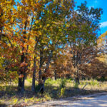 Property photo for land for sale in Hickory County Missouri