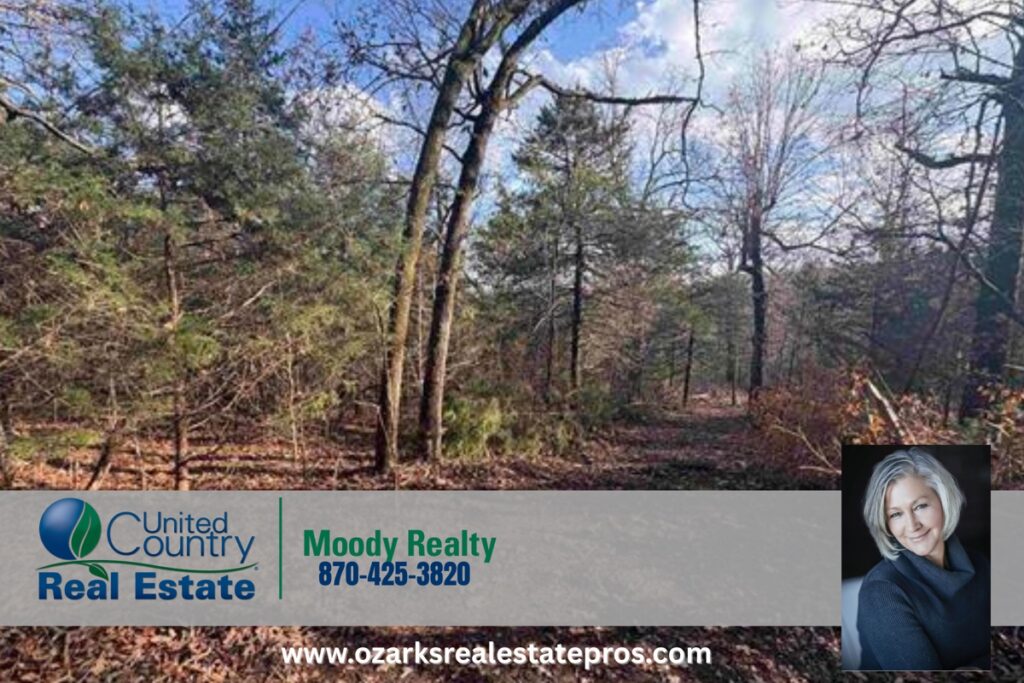 Property photo for land for sale in Baxter County Arkansas