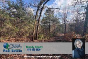Property photo for land for sale in Baxter County Arkansas