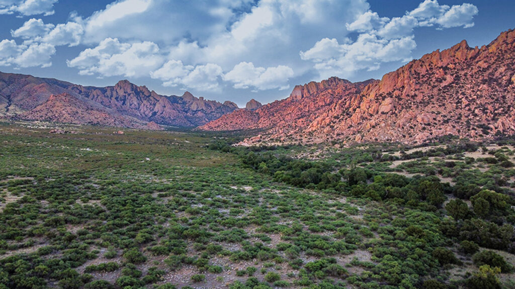 Property photo for land for sale in Cochise County Arizona