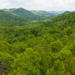 Property photo for land for sale in Wilkes County North Carolina