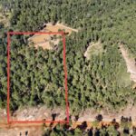 Property photo for land for sale in Lincoln County Louisiana