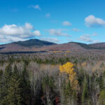 Property photo for land for sale in Aroostook County Maine