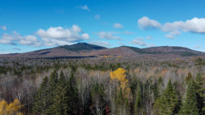 Property photo for land for sale in Aroostook County Maine