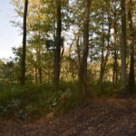 Property photo for land for sale in Pike County Indiana