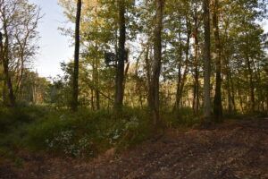 Property photo for land for sale in Pike County Indiana