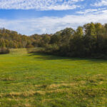Property photo for land for sale in Lee County Virginia