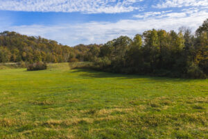 Property photo for land for sale in Lee County Virginia