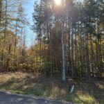 Property photo for land for sale in Hardin County Tennessee