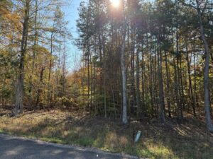 Property photo for land for sale in Hardin County Tennessee