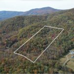 Property photo for land for sale in Albemarle County Virginia
