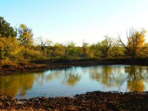 Property photo for land for sale in Brown County Texas
