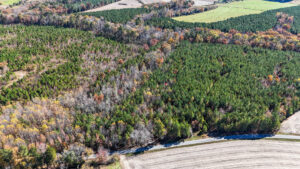 Property photo for land for sale in Lunenburg County Virginia