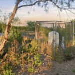 Property photo for land for sale in Duval County Texas