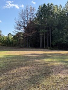 Property photo for land for sale in Cass County Texas