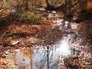 Property photo for land for sale in Metcalfe County Kentucky