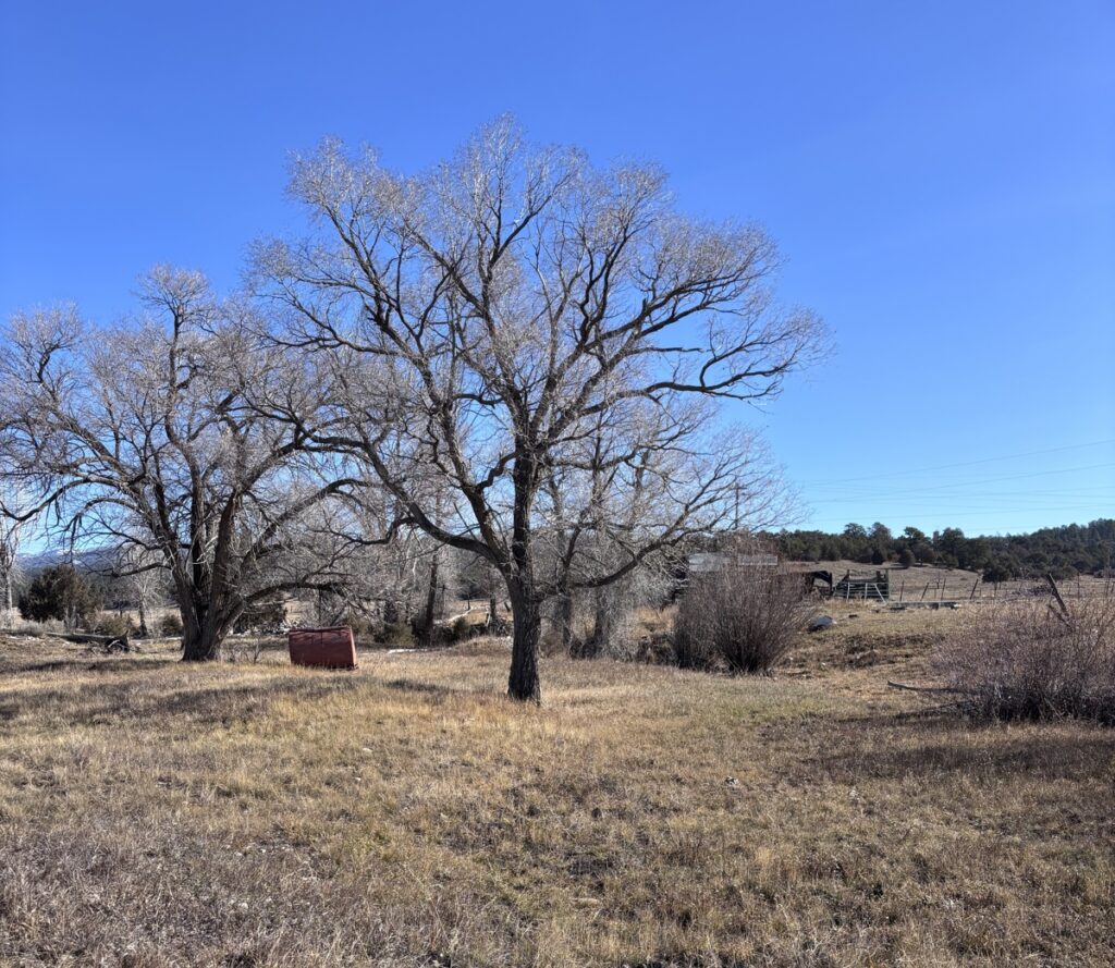 Property photo for land for sale in Rio Arriba County New Mexico