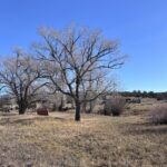 Property photo for land for sale in Rio Arriba County New Mexico