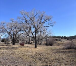 Property photo for land for sale in Rio Arriba County New Mexico