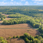 Property photo for land for sale in Allen County Kentucky