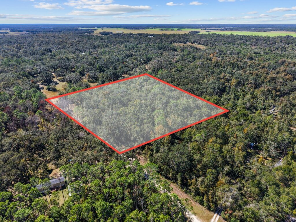 Property photo for land for sale in Dixie County Florida
