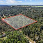 Property photo for land for sale in Dixie County Florida