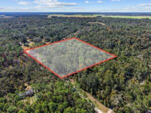 Property photo for land for sale in Dixie County Florida
