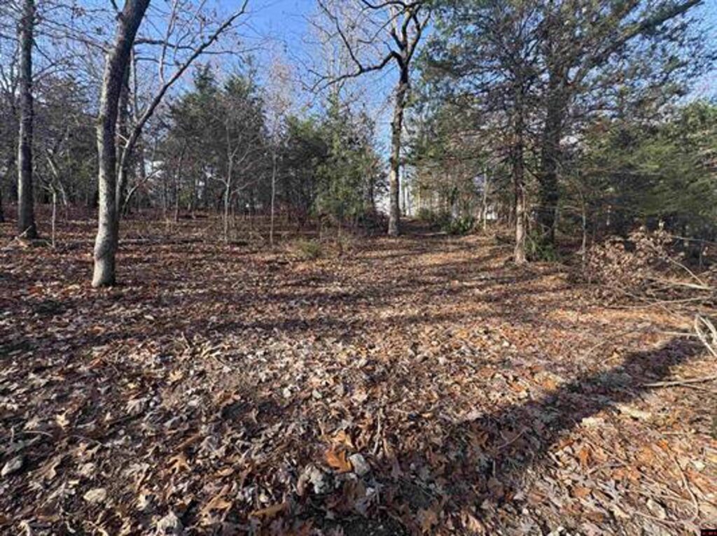 Property photo for land for sale in Baxter County Arkansas