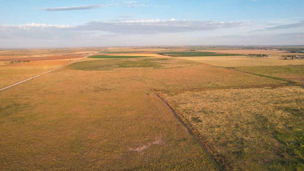 Property photo for land for sale in Bailey County Texas