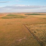 Property photo for land for sale in Bailey County Texas