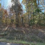 Property photo for land for sale in Hardin County Tennessee