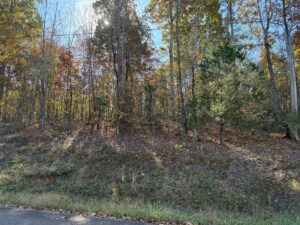 Property photo for land for sale in Hardin County Tennessee