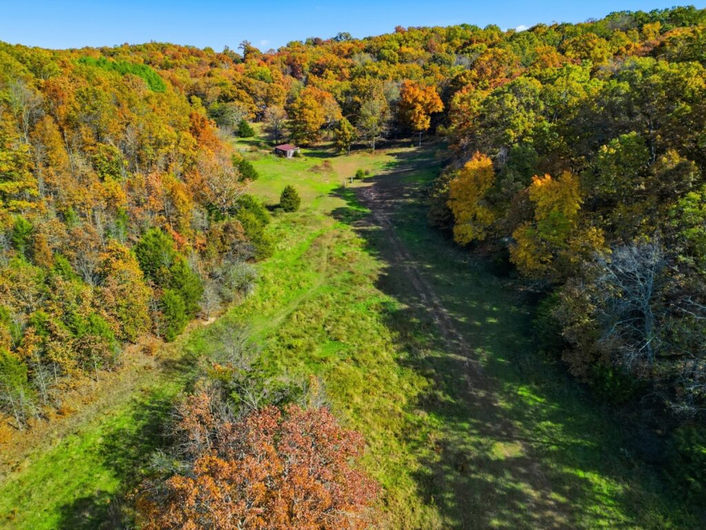 Property photo for land for sale in Douglas County Missouri