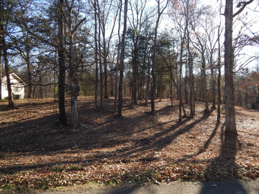 Property photo for land for sale in Hardin County Tennessee