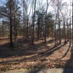 Property photo for land for sale in Hardin County Tennessee