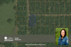 Property photo for land for sale in Izard County Arkansas
