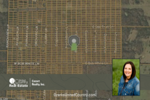 Property photo for land for sale in Izard County Arkansas